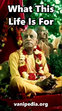 0263 - 03 Nov