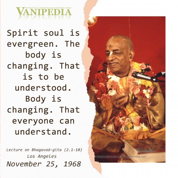 File:112568 Image-quote.jpg