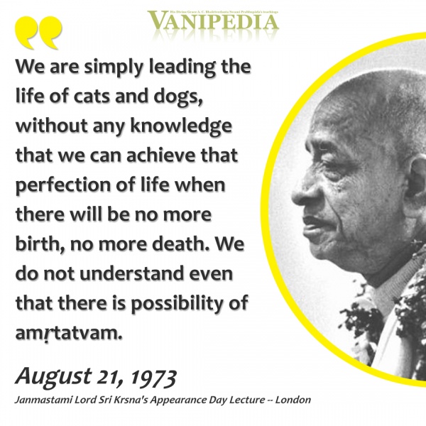 File:082173 Image-quote.jpg