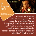 Thumbnail for version as of 14:53, 13 August 2020