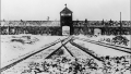 Thumbnail for version as of 05:29, 18 December 2020