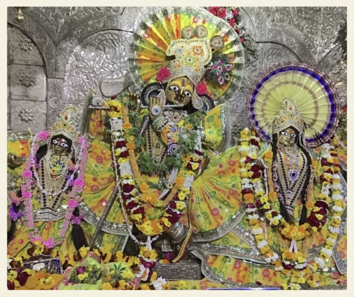 File:Radha Damodar.png