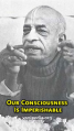 Thumbnail for version as of 00:04, 19 November 2025