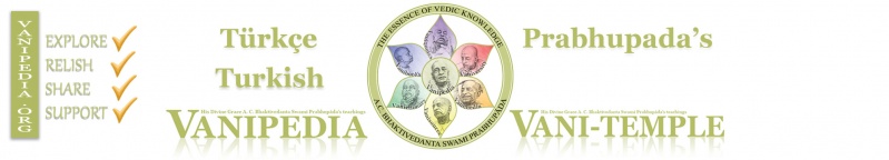 File:Turkish MainPage Banner.jpg