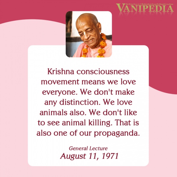 File:081171 Image-quote.jpg